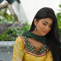 Shriya Saran new pictures | Picture 47199